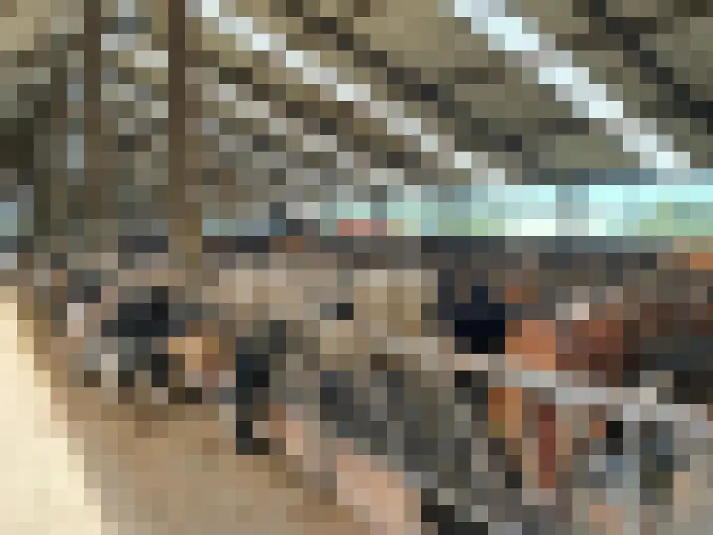 Hoonhorstweg 2 Breedenbroek thumbnail 18