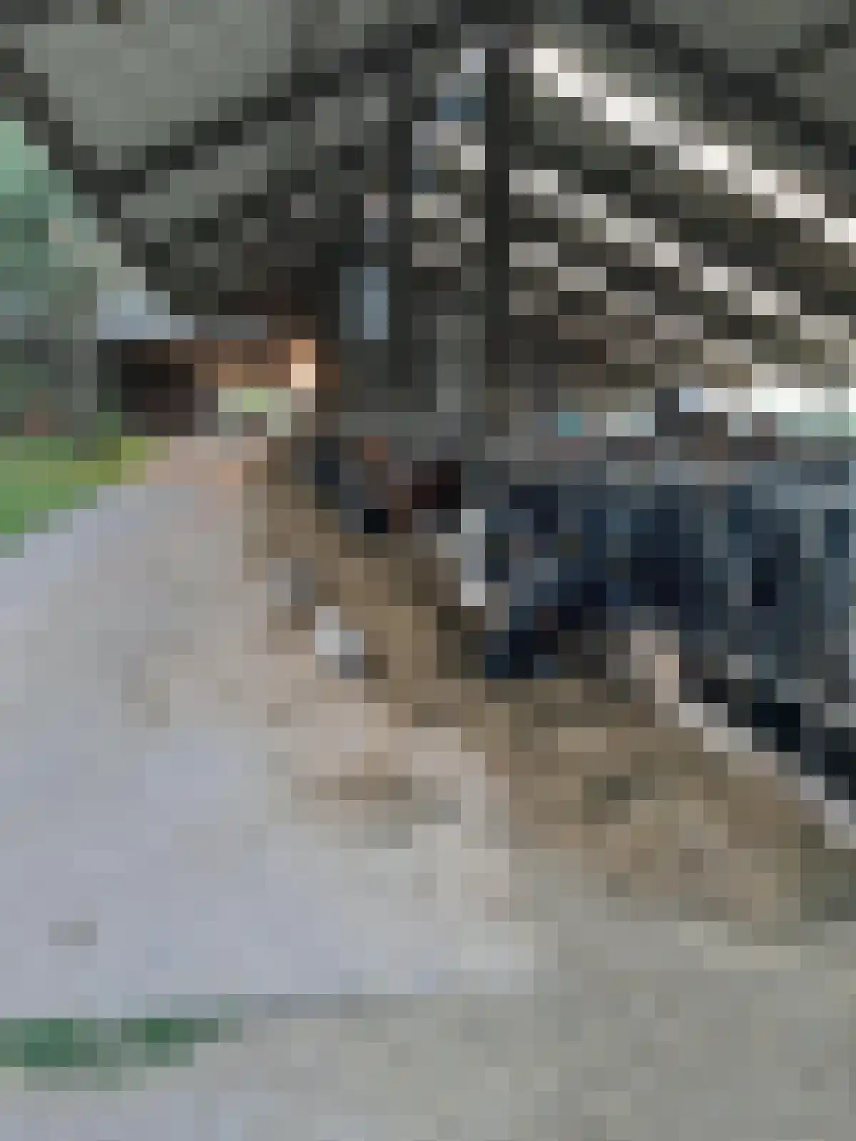 Hoonhorstweg 2 Breedenbroek thumbnail 20
