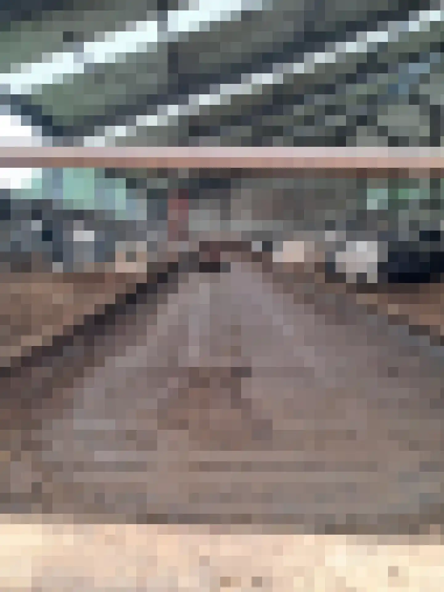 Hoonhorstweg 2 Breedenbroek thumbnail 21