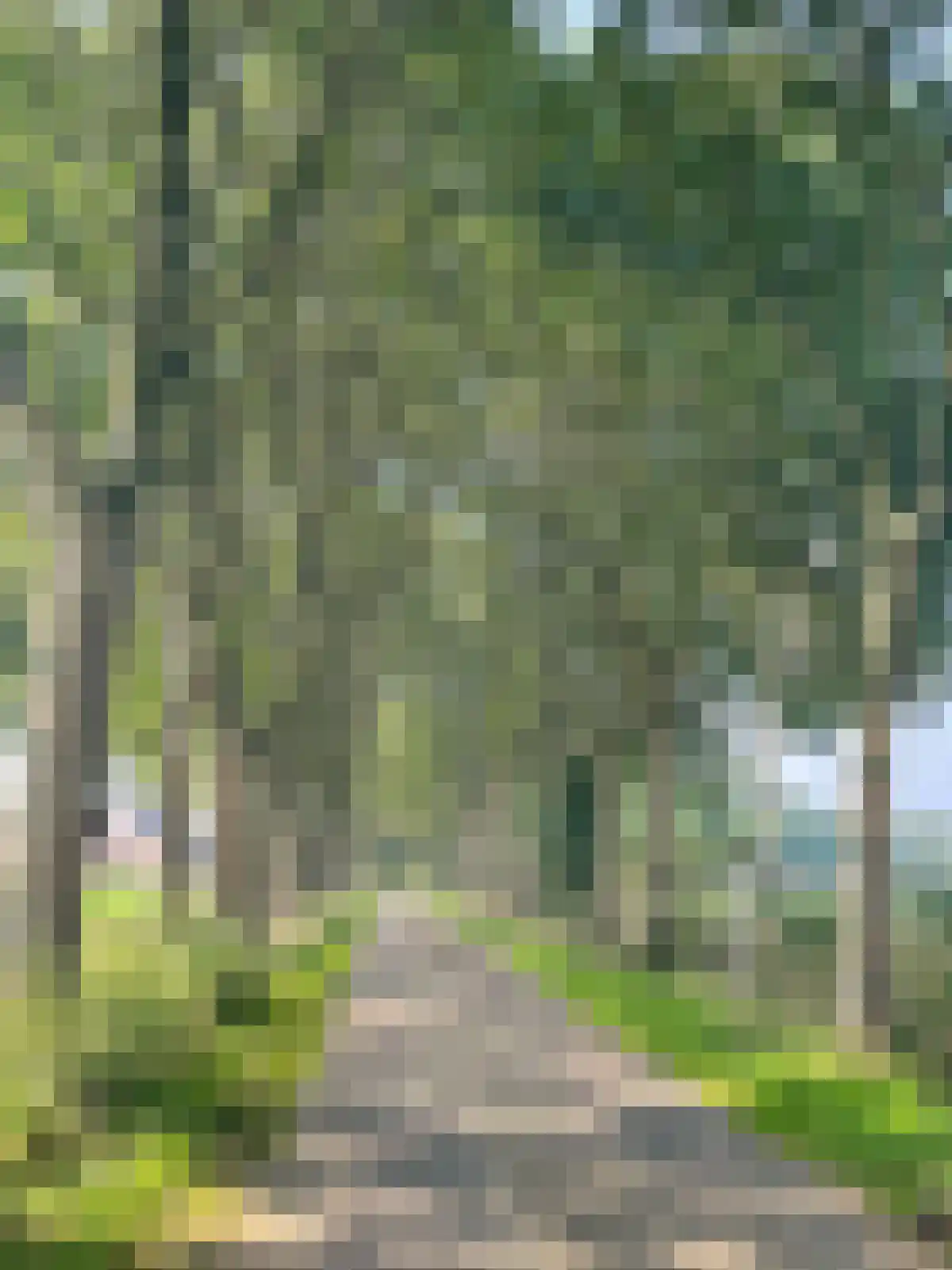 Hoonhorstweg 2 Breedenbroek thumbnail 33