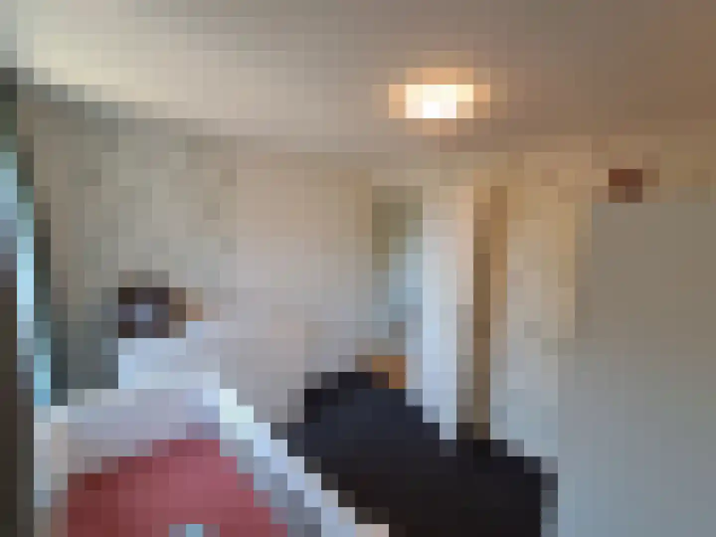 Hoonhorstweg 2 Breedenbroek thumbnail 9