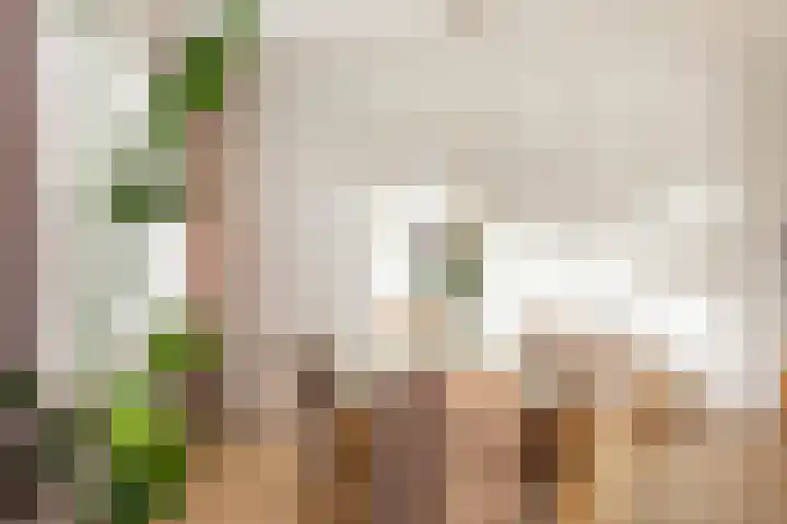 Hoontebrink 1 Enschede thumbnail 14