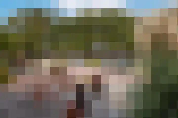 Hoontebrink 8 Enschede thumbnail 22