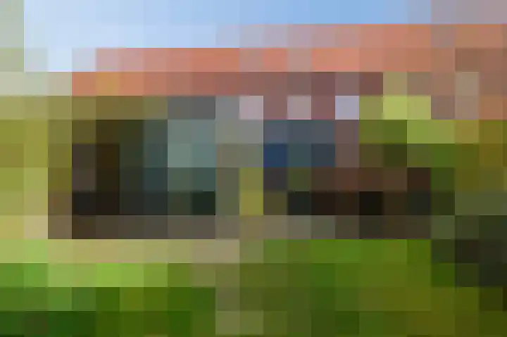 Hoopende Swaen 41 Amsterdam thumbnail 32
