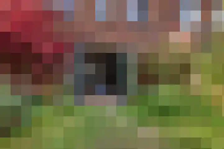 Hoopende Swaen 41 Amsterdam thumbnail 33