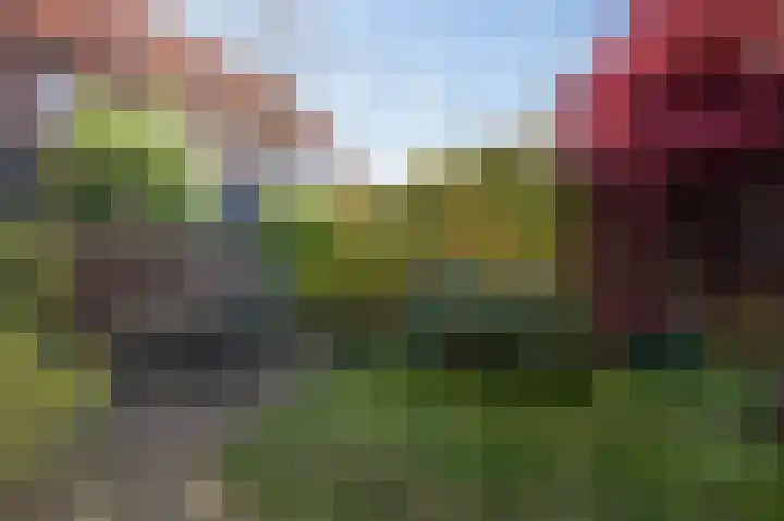 Hoopende Swaen 41 Amsterdam thumbnail 36