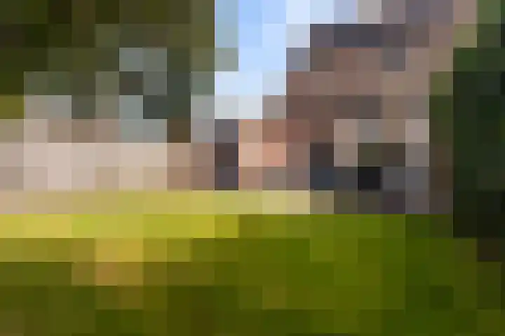 Hoopstede 47 Heerenveen thumbnail 4