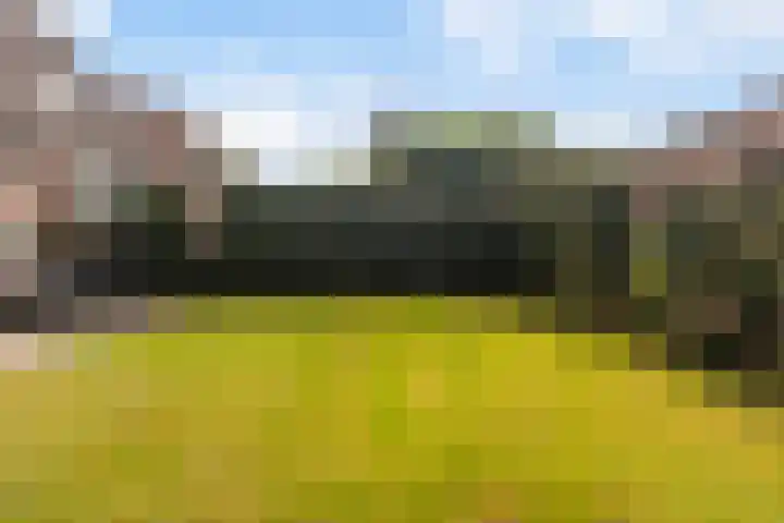 Hoopstede 47 Heerenveen thumbnail 47