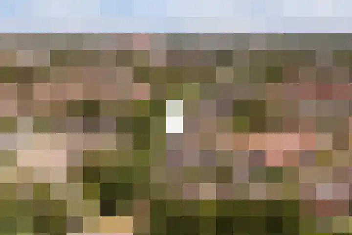 Hoopstede 47 Heerenveen thumbnail 6