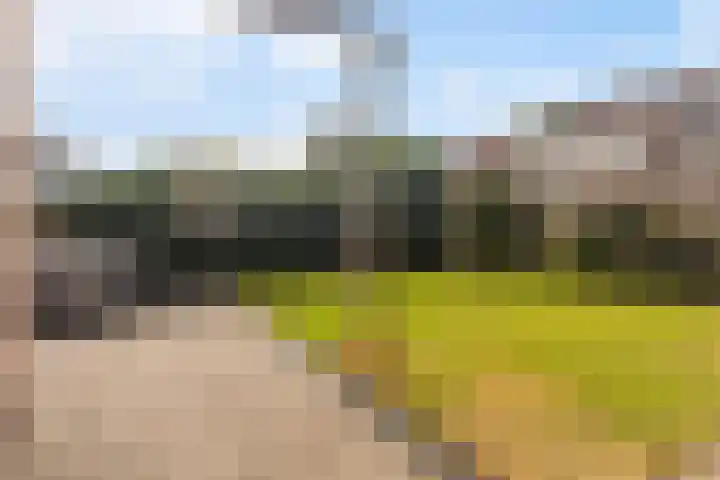 Hoopstede 47 Heerenveen thumbnail 7