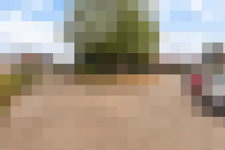 Hoopstede 47 Heerenveen thumbnail 8
