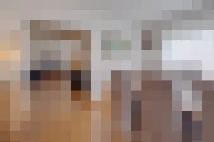 Hoordstraat 15 Nieuwstadt thumbnail 16
