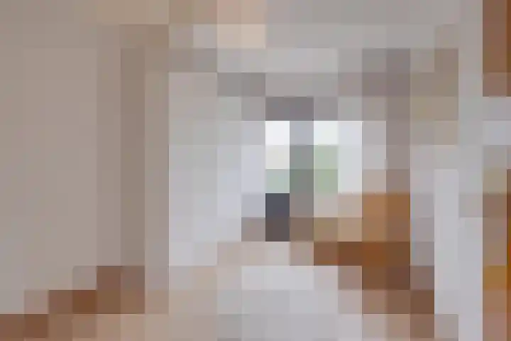 Hoordstraat 15 Nieuwstadt thumbnail 30