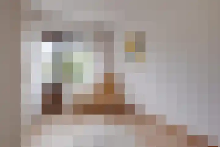 Hoordstraat 15 Nieuwstadt thumbnail 31