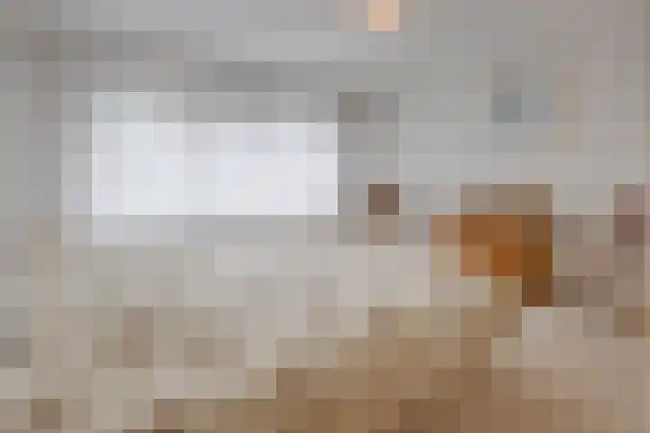 Hoordstraat 15 Nieuwstadt thumbnail 33
