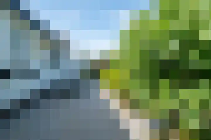 Hoordstraat 15 Nieuwstadt thumbnail 56