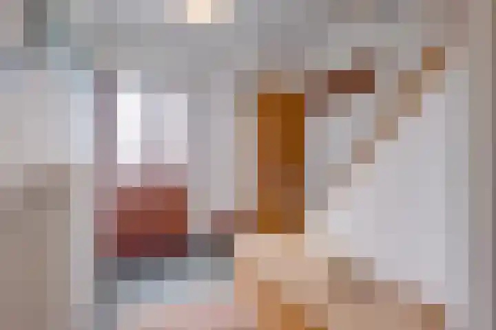 Hoordstraat 15 Nieuwstadt thumbnail 6