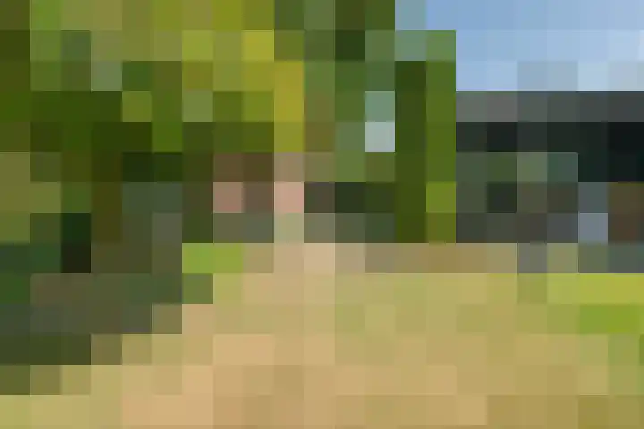 Hoordstraat 15 Nieuwstadt thumbnail 61