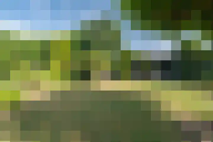 Hoordstraat 15 Nieuwstadt thumbnail 62