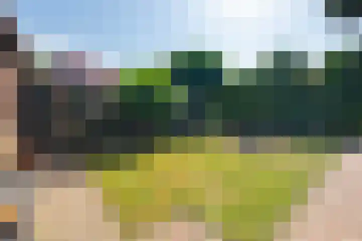 Hoordstraat 15 Nieuwstadt thumbnail 64