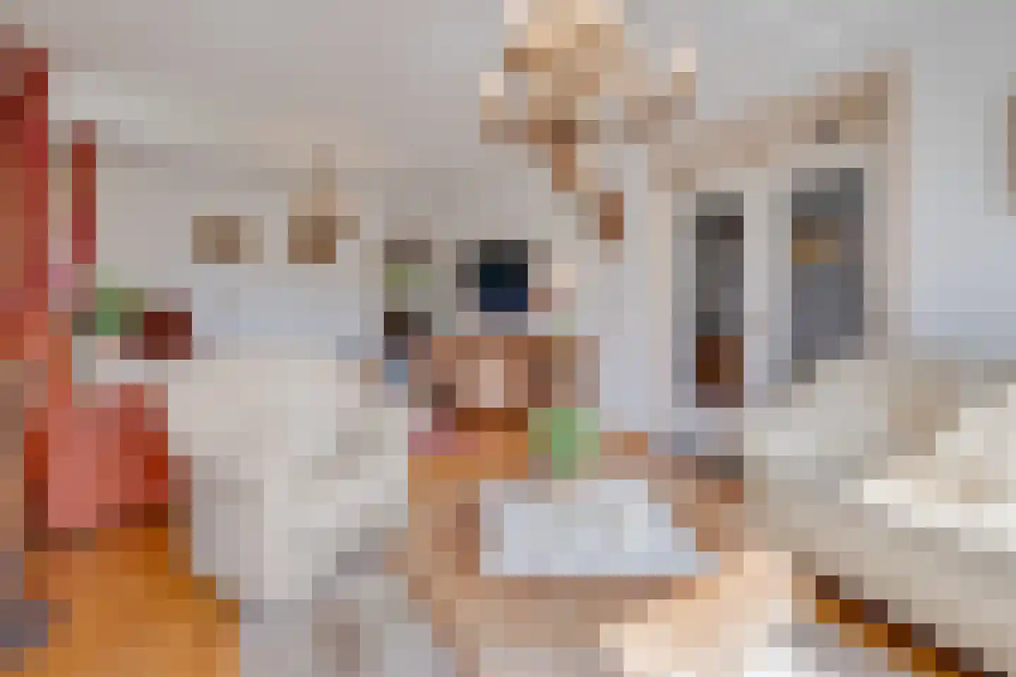 Hoordstraat 18 Nieuwstadt thumbnail 10