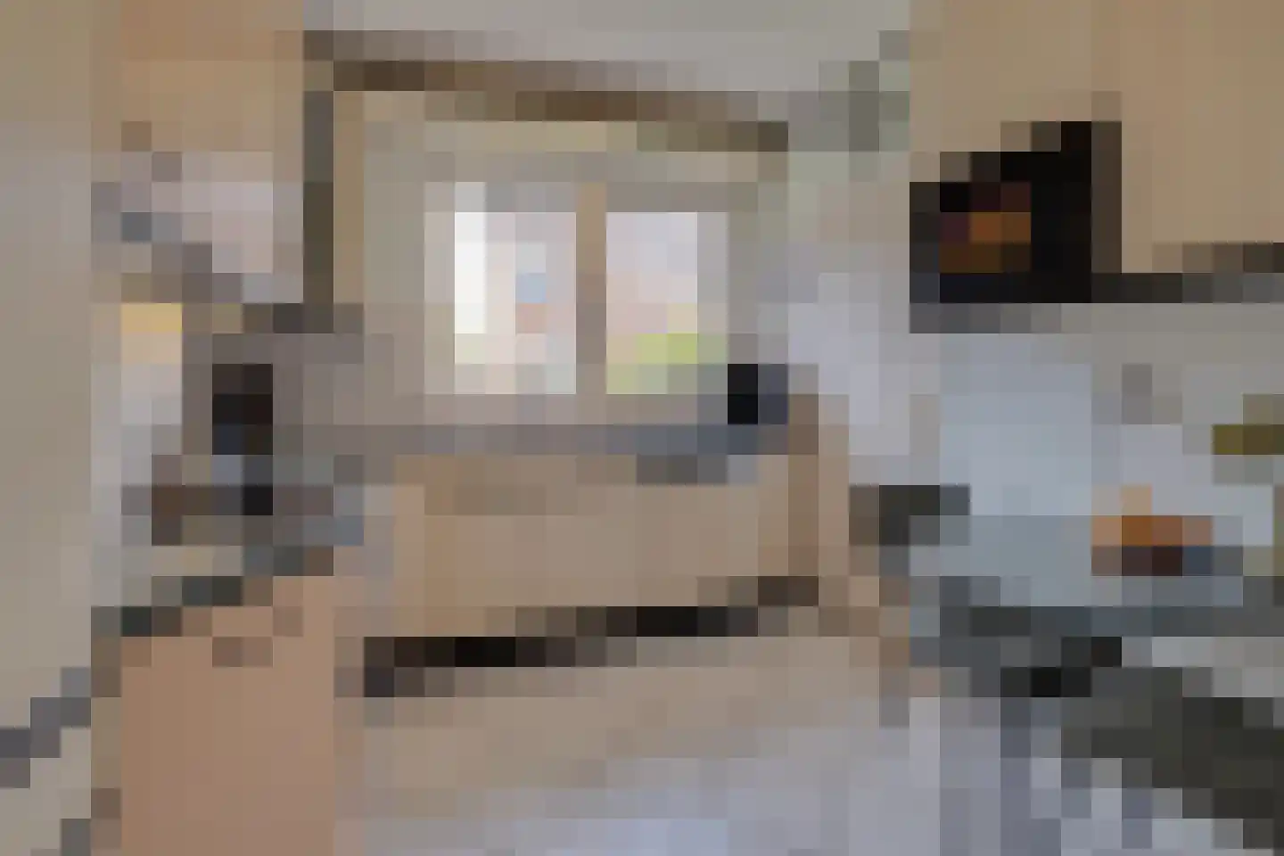 Hoordstraat 18 Nieuwstadt thumbnail 14