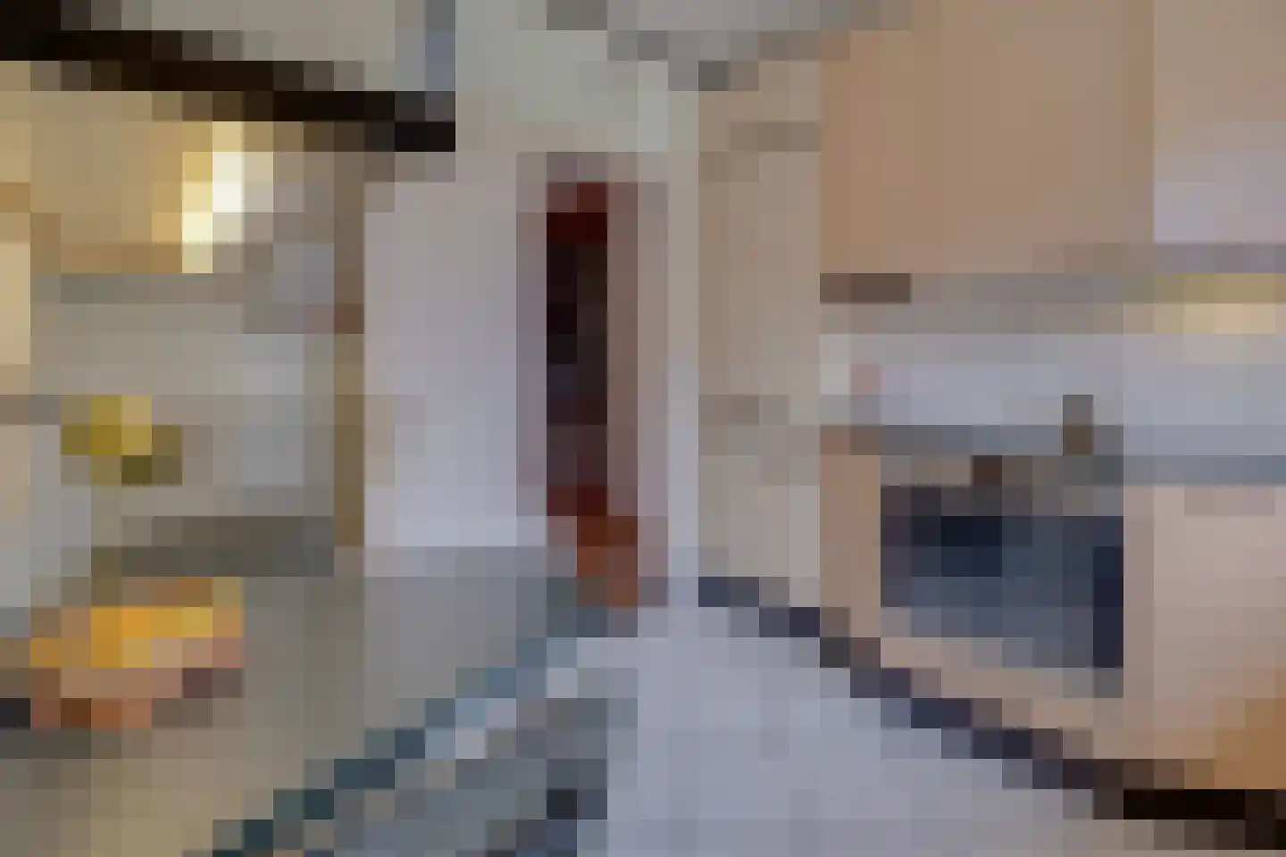Hoordstraat 18 Nieuwstadt thumbnail 15