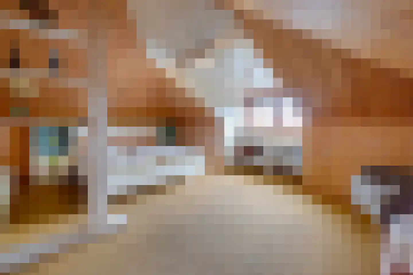 Hoordstraat 18 Nieuwstadt thumbnail 29
