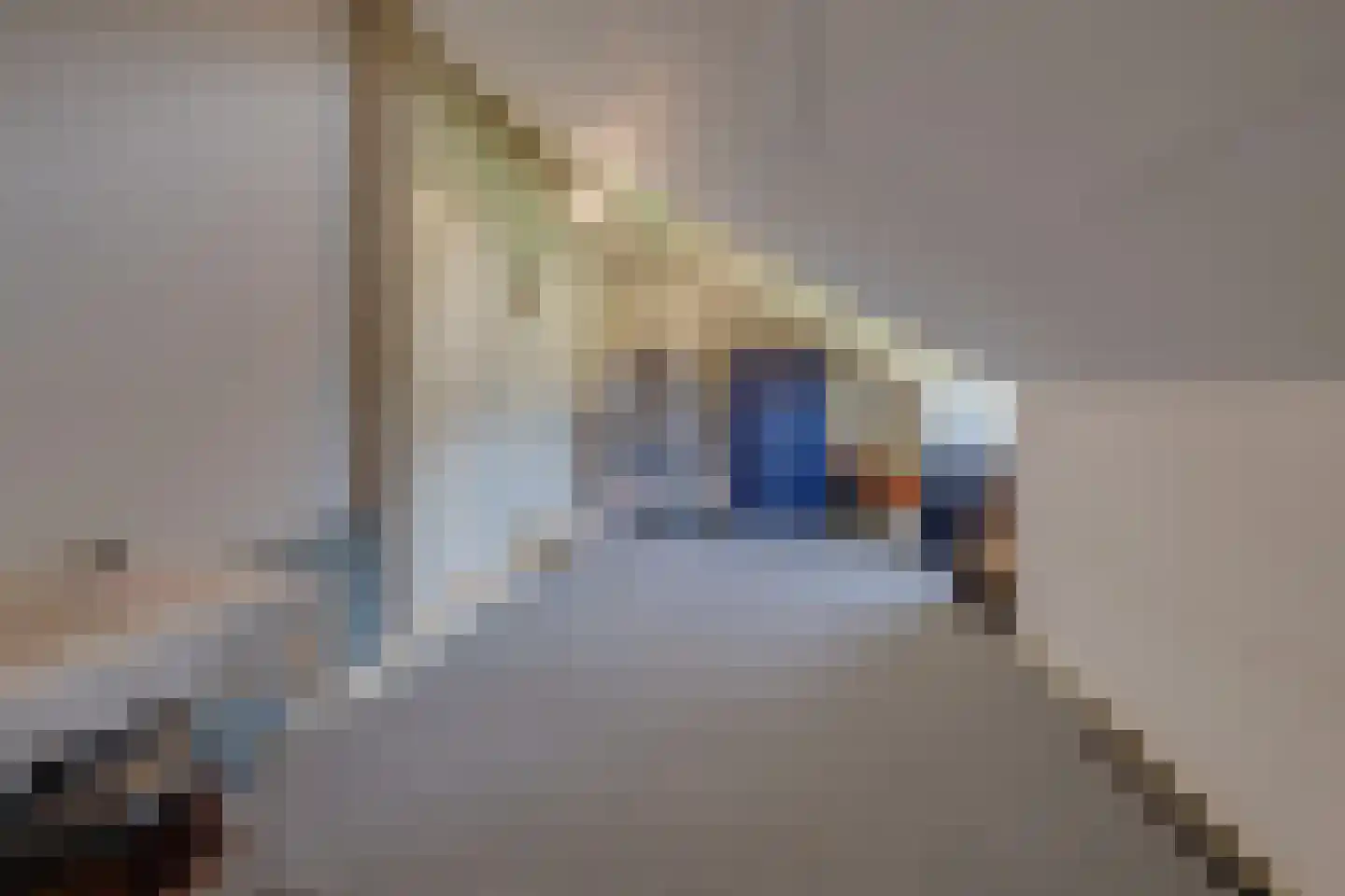 Hoordstraat 18 Nieuwstadt thumbnail 33