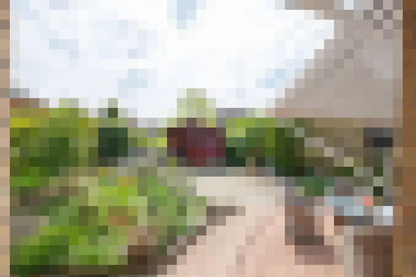 Hoordstraat 18 Nieuwstadt thumbnail 38