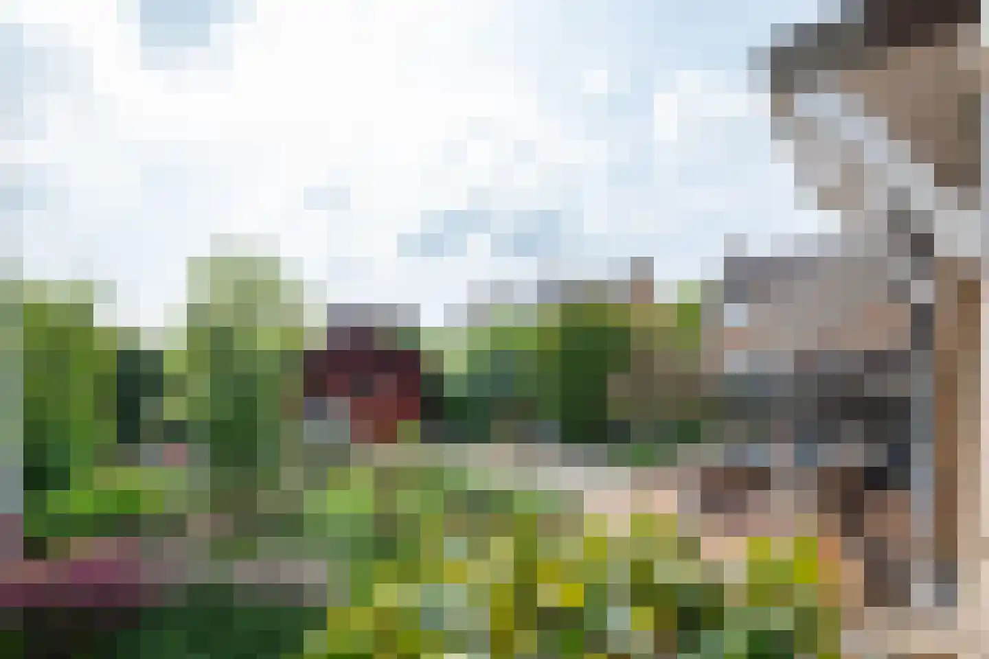 Hoordstraat 18 Nieuwstadt thumbnail 39