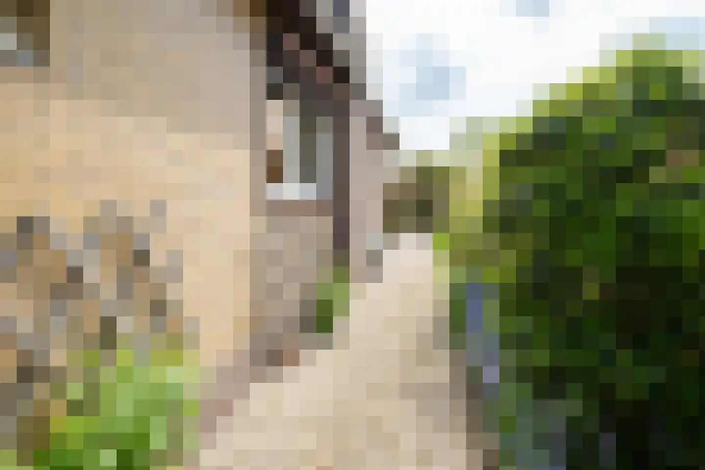 Hoordstraat 18 Nieuwstadt thumbnail 41