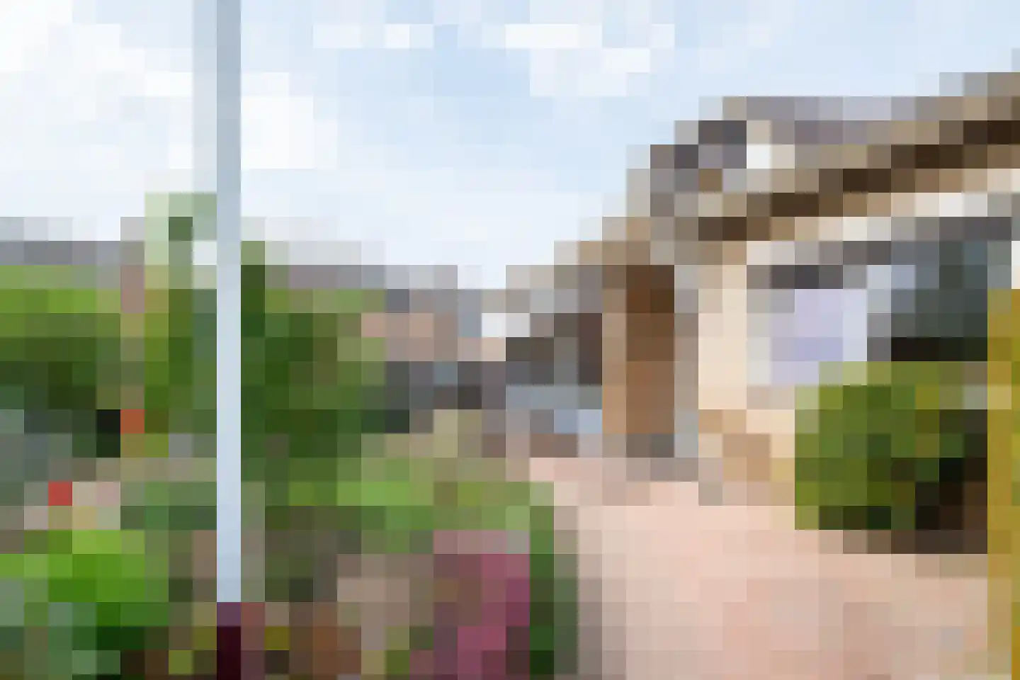 Hoordstraat 18 Nieuwstadt thumbnail 6