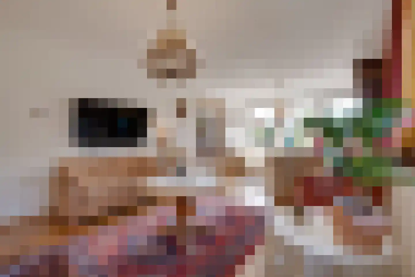 Hoordstraat 18 Nieuwstadt thumbnail 9