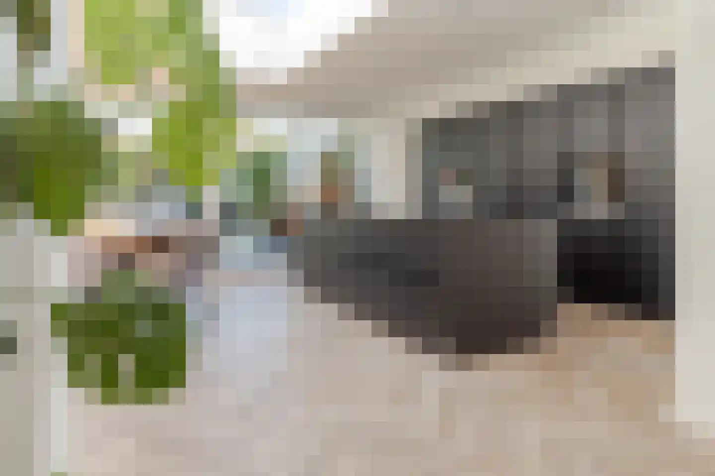 Hoordstraat 19 Nieuwstadt thumbnail 21
