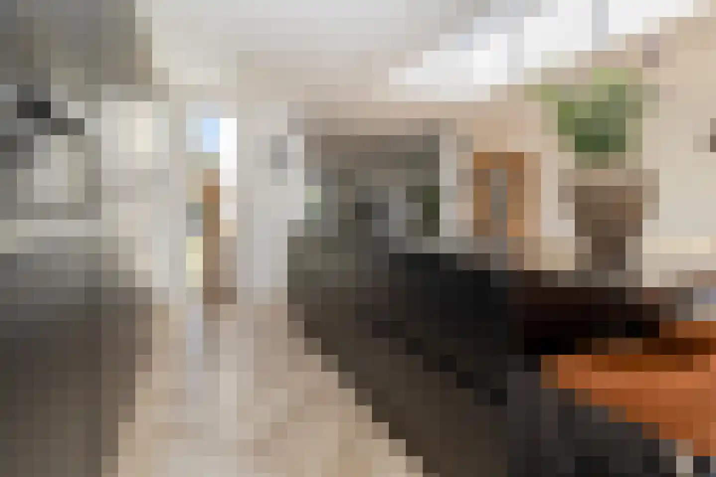 Hoordstraat 19 Nieuwstadt thumbnail 24