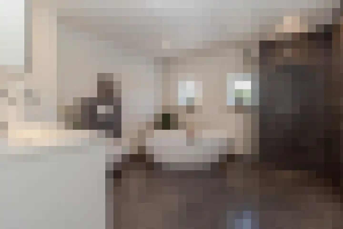 Hoordstraat 19 Nieuwstadt thumbnail 38