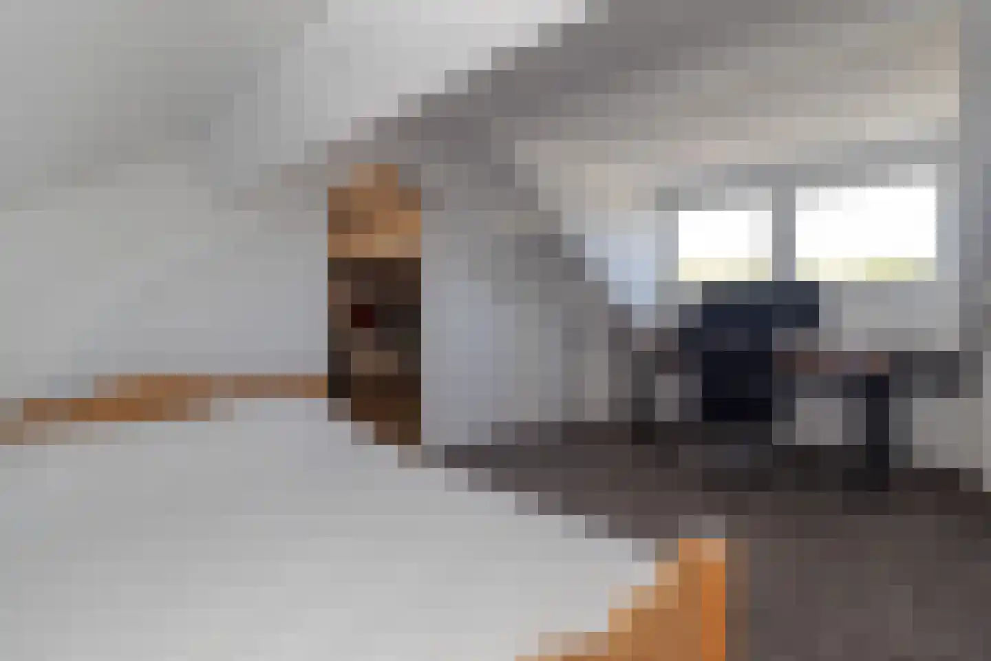 Hoordstraat 19 Nieuwstadt thumbnail 45