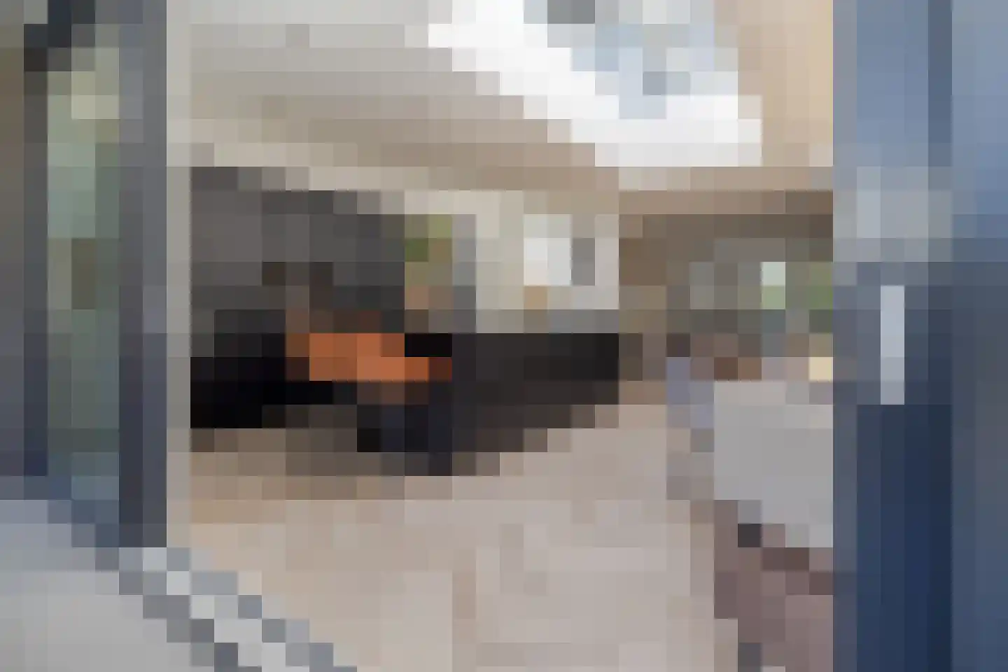 Hoordstraat 19 Nieuwstadt thumbnail 48