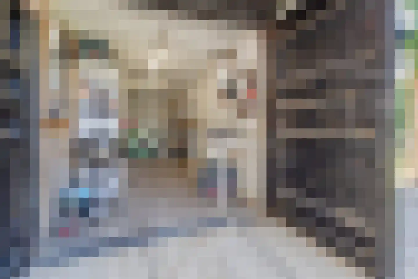 Hoordstraat 19 Nieuwstadt thumbnail 52