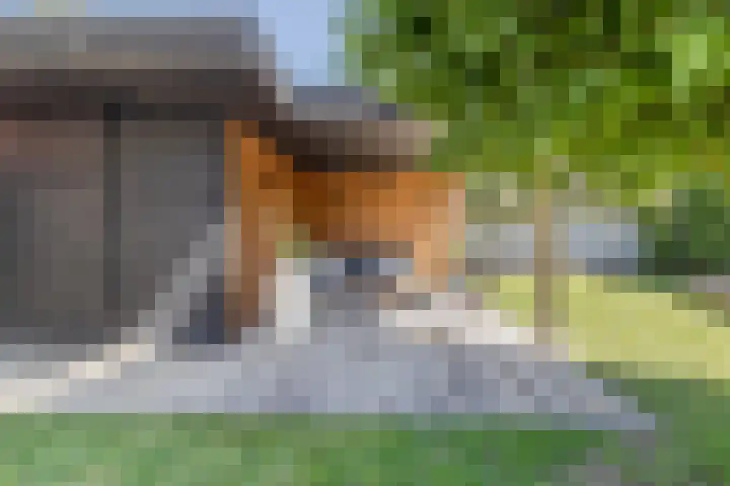 Hoordstraat 19 Nieuwstadt thumbnail 53
