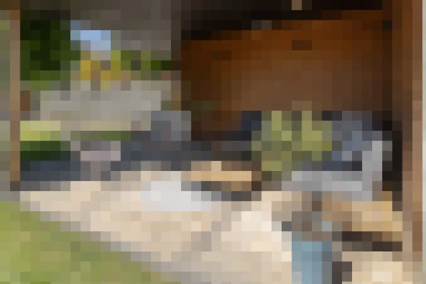 Hoordstraat 19 Nieuwstadt thumbnail 55
