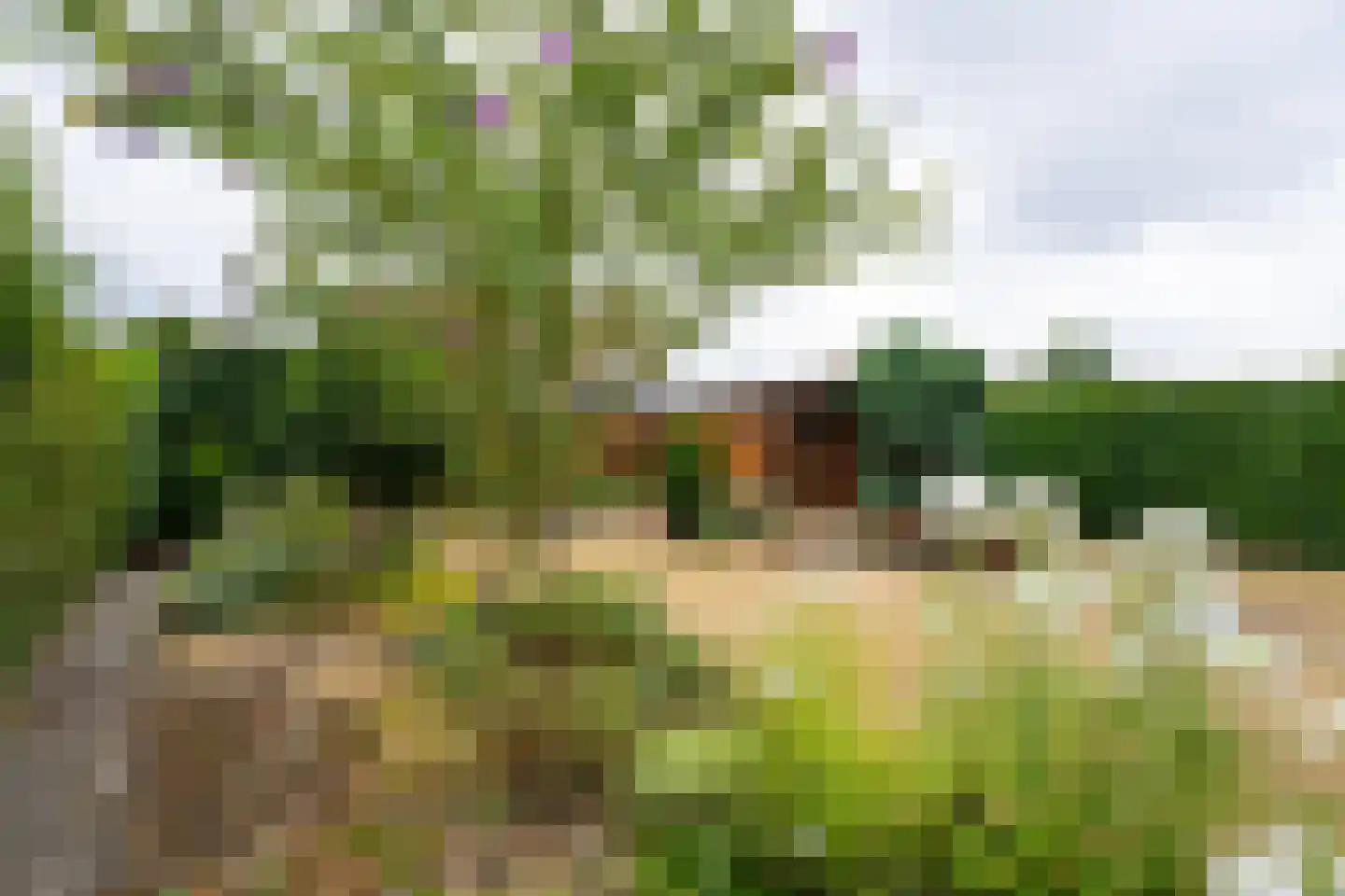 Hoordstraat 37 Nieuwstadt thumbnail 16