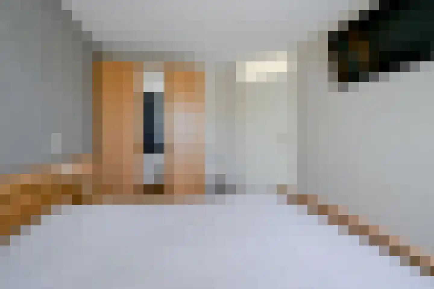 Hoornblad 5 Abbekerk thumbnail 24