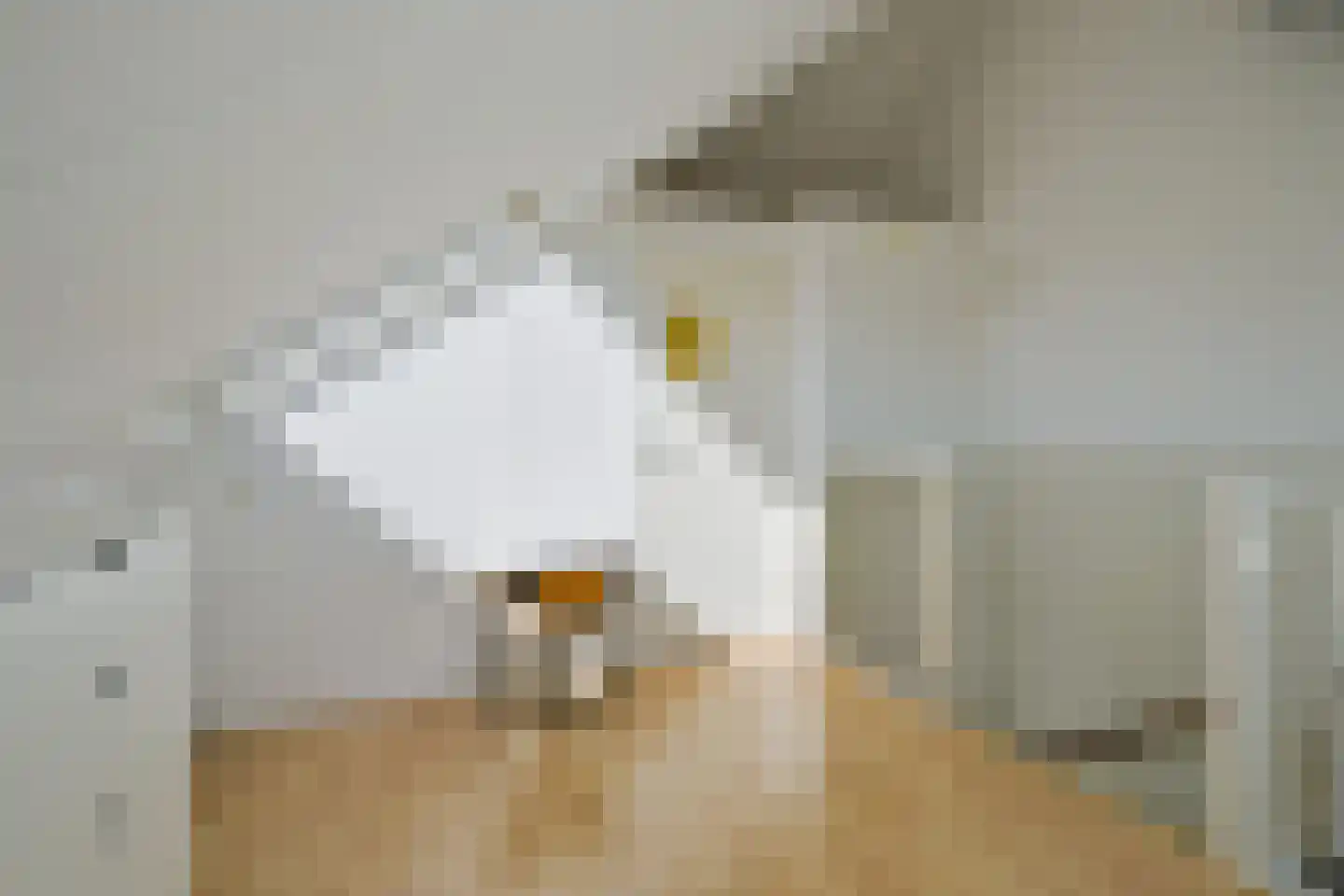 Hoornblad 5 Abbekerk thumbnail 31