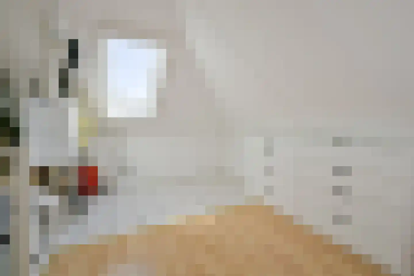 Hoornblad 5 Abbekerk thumbnail 34