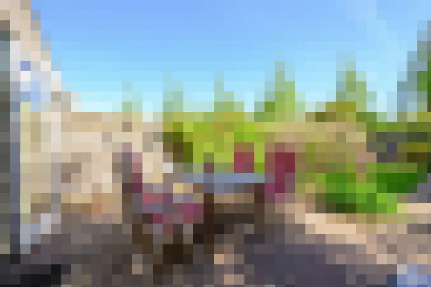 Hoornblad 5 Abbekerk thumbnail 35