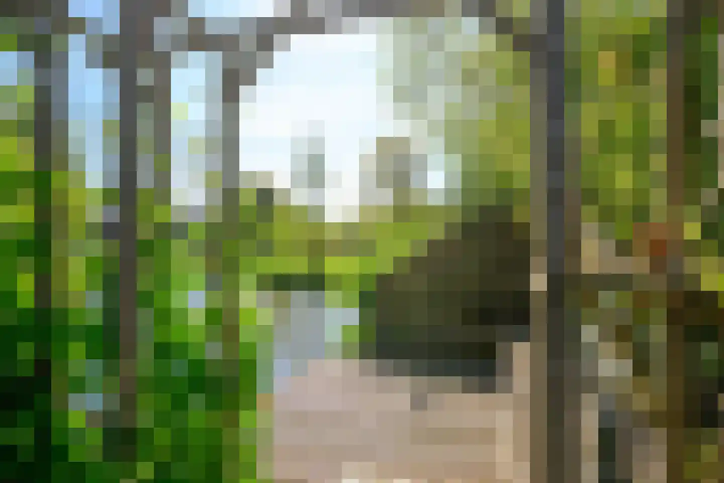 Hoornblad 5 Abbekerk thumbnail 37