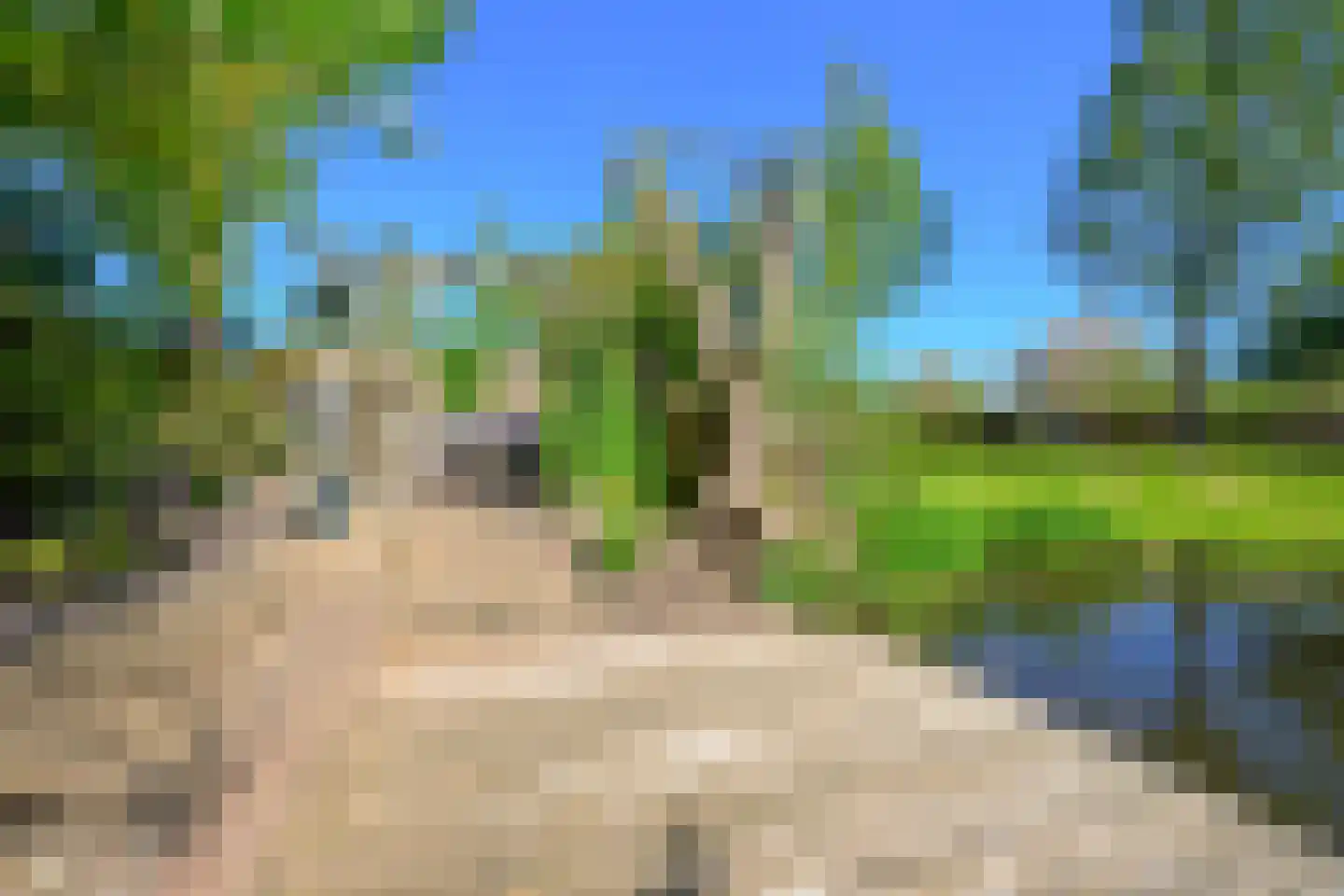 Hoornblad 5 Abbekerk thumbnail 38