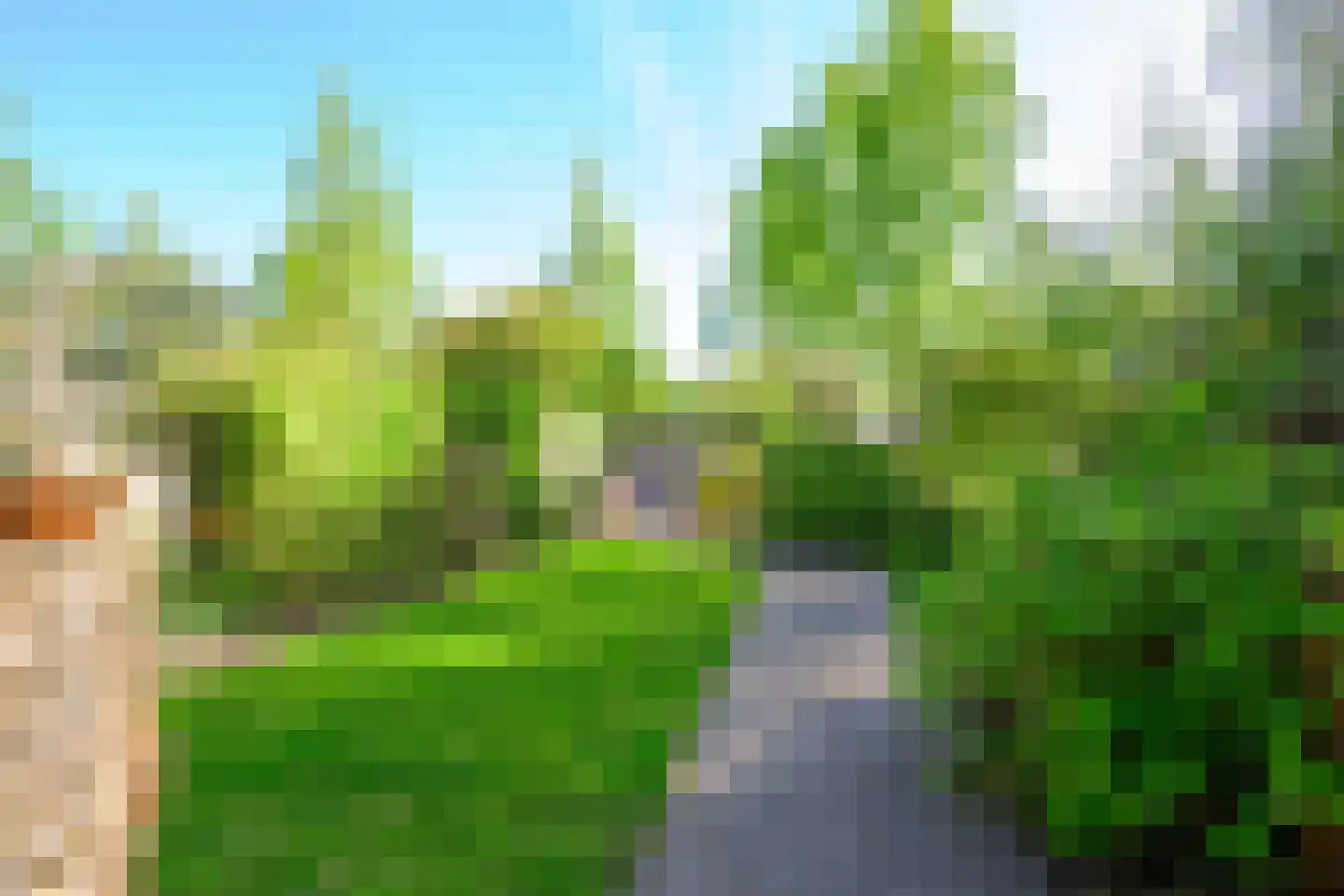 Hoornblad 5 Abbekerk thumbnail 4